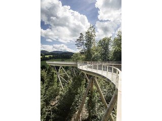 Der Baumwipfelpfad Neckertal ist im Mai das Ausflugsziel der Unternehmerfrauen Holzbau Schweiz.