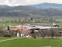 Vom Wald fürs Leben