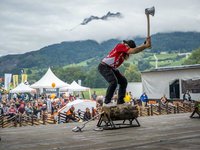 Branchentreffpunkt Forstmesse