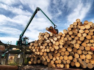 Der Rohstoff Holz wird beim Lehmann Holzwerk nachhaltig genutzt und in einer komplett geschlossenen Wertschöpfungskette verarbeitet.
