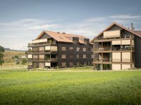 Gemeinsam mit Holz bauen