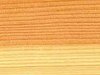 H) Splintholz gelblich hell, schmal, Kernholz rot-braun, kräftig nachdunkelnd, Jahrringgrenze sehr deutlich, im frischen Zustand aromatischer Geruch. 
