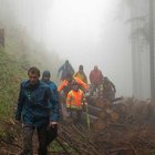 Neue Wege für eine  bessere Holzversorgung