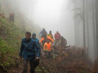 Neue Wege für eine  bessere Holzversorgung