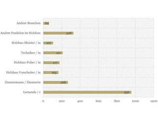 Die Nutzer des Holzbau-LAB von Holzbau Schweiz. Aktuell wird es vor allem von Lernenden (956) genutzt, bietet aber allen Zimmerleuten informative Inhalte.